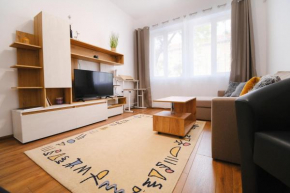 Apartment in the city center